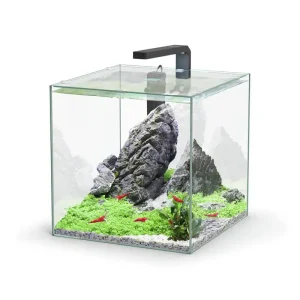 Kracherpreis aquatlantis Kubus LED 33 l Aquarienset